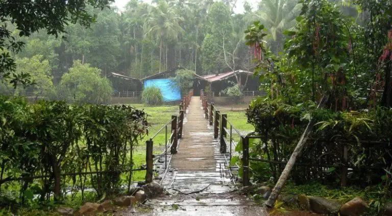 Tropical Spice Plantation Bridge