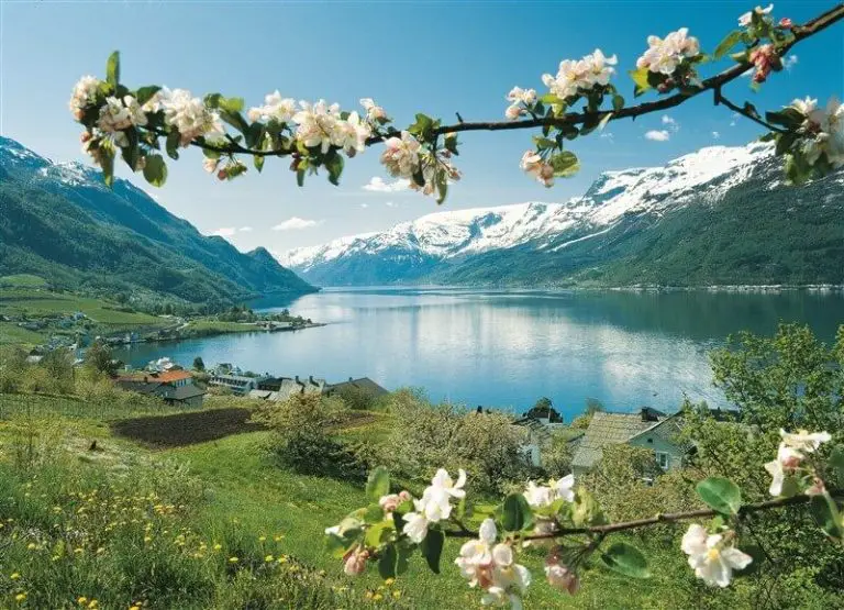 Hardangerfjord in spring