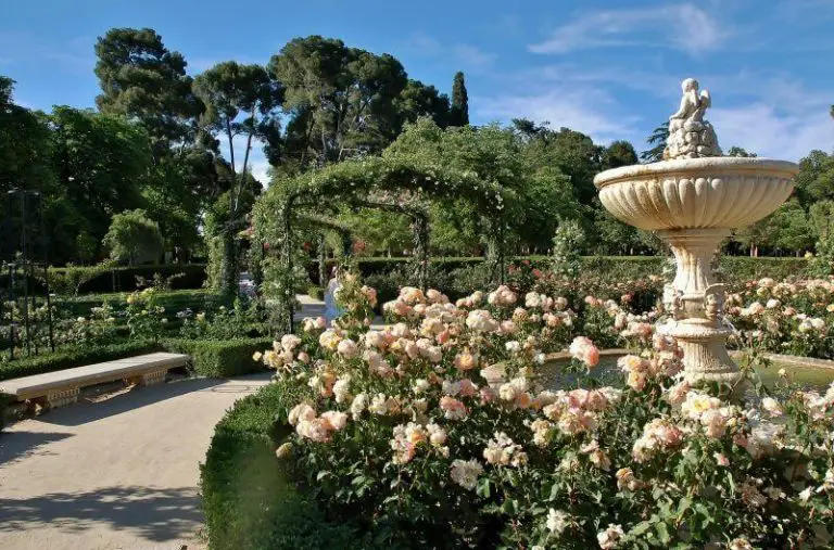 Rose Garden in Retiro Park