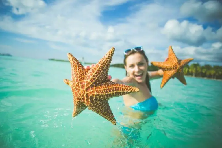 Starfish near Saona Island