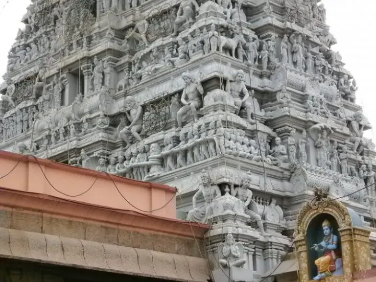 Sri Partasarati Temple