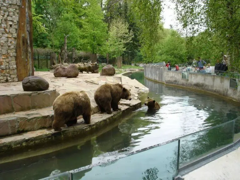 Augsburg Zoo