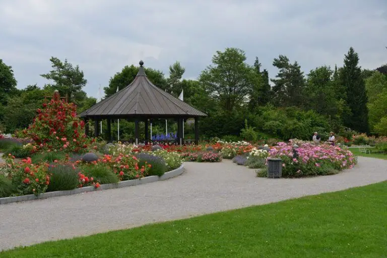 Botanical Garden (Botanischer Garten)