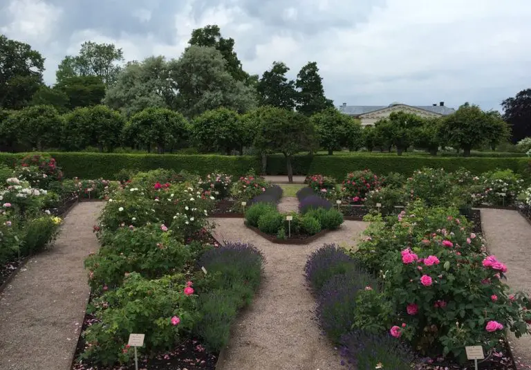 Uppsala Botanical Garden