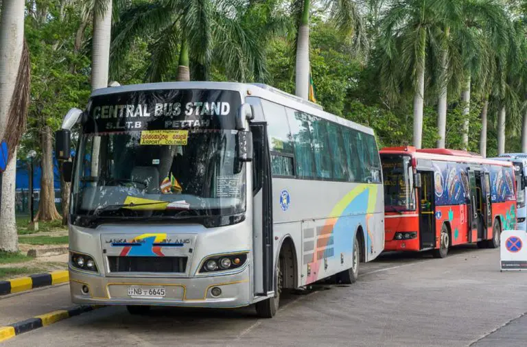 Buses at Colombo Airport