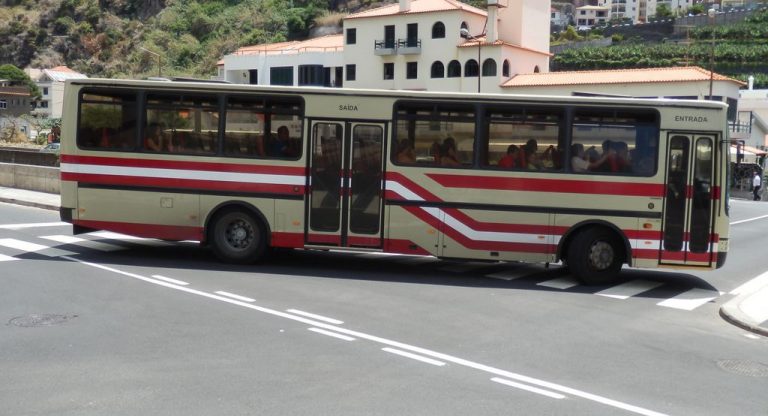 Bus to Port Moniz