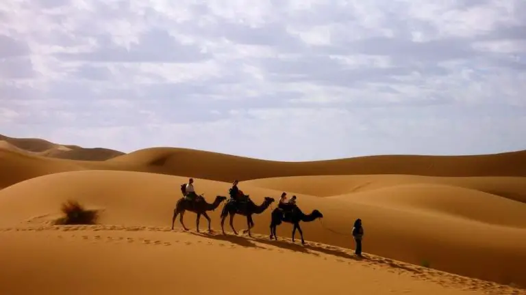 UAE desert region