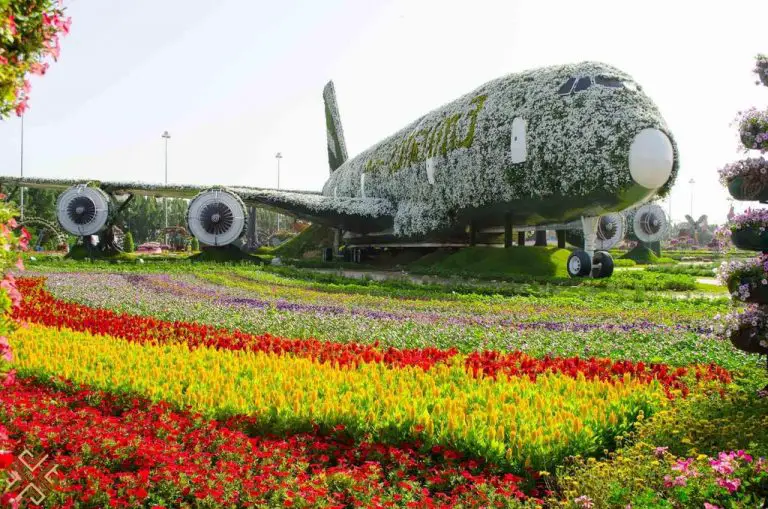 Airplane-shaped flowers