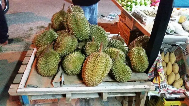 Durian at Langkawi Night Market