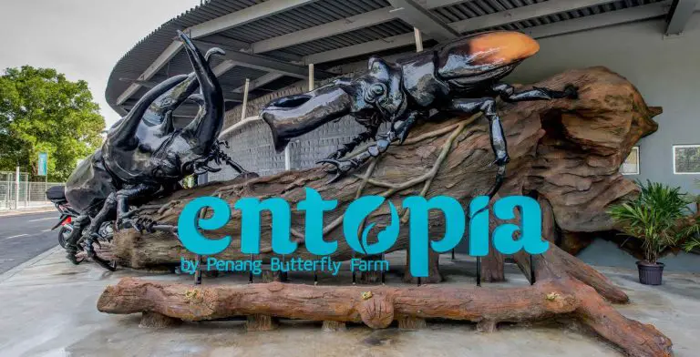 Butterfly Farm Entopia