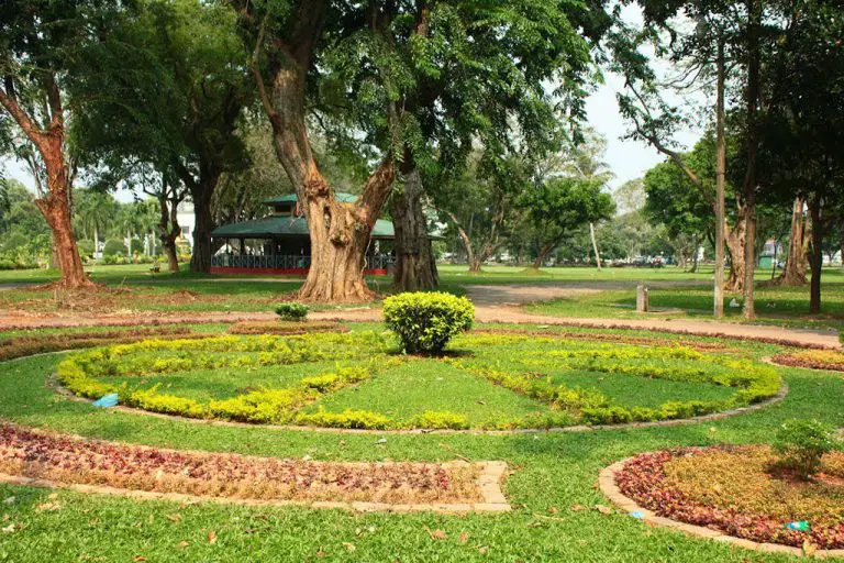 Flowerbeds in Viharamahadevi Park