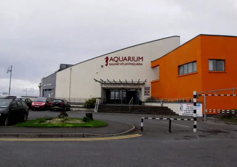 Oceanarium, Galway