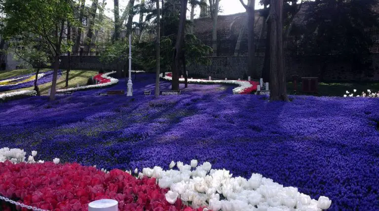 Flower Carpets in Gulhan Park
