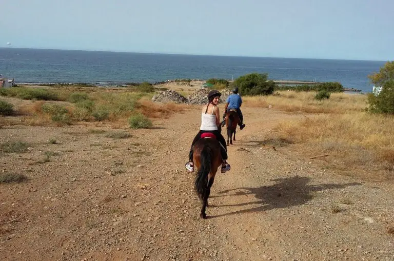 Horseback riding to the sea