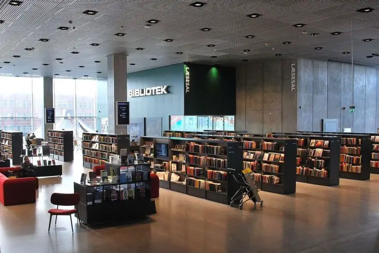 In the Dokk1 library