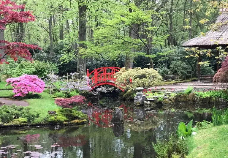 Japanese Garden Walk
