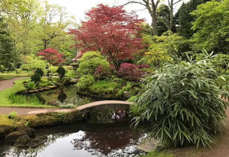 Japanese Garden, The Hague