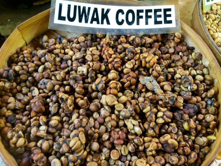 The same Luwak coffee