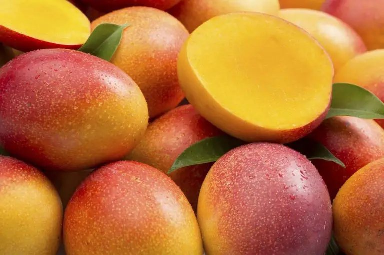 Exotic Fruit - Mango