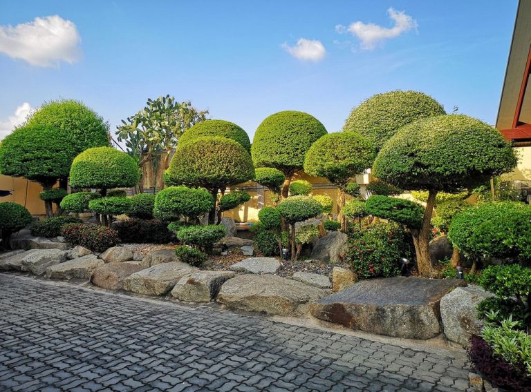 Bonsai Garden in the Park