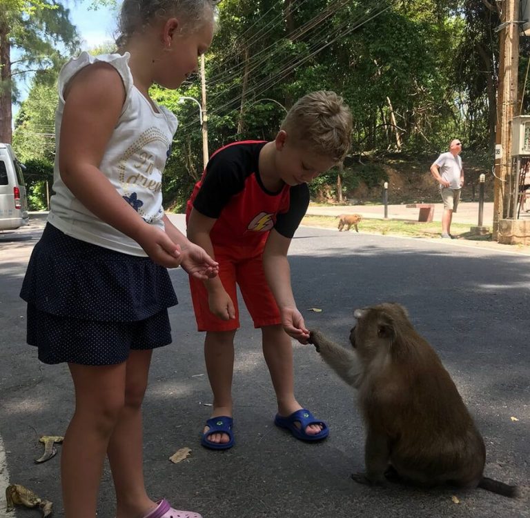 Children feed the monkey