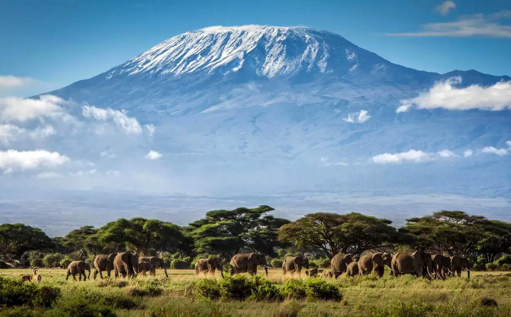 Tourist's guide to Mt Kilimanjaro - its flora, fauna, weather and climbing routes