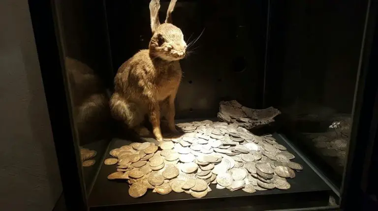 Treasures from Viking treasures found