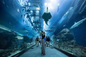 The aquarium in Dubai