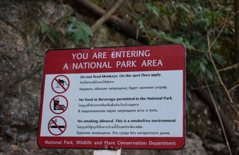 It is forbidden to feed monkeys here