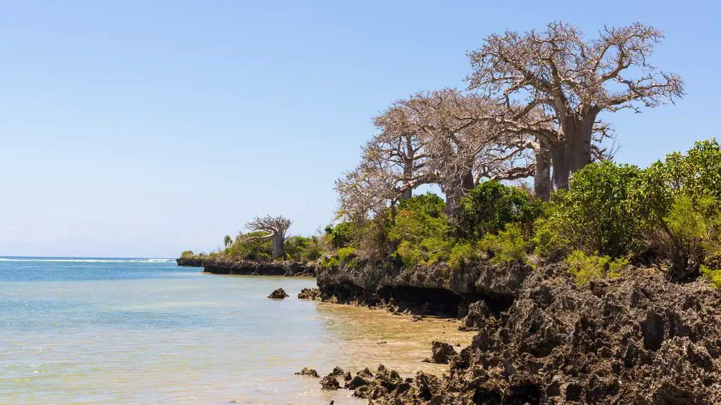 Guide to Pemba, a reef island off Tanzania