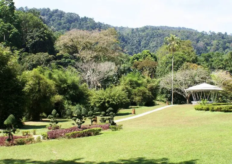 Botanical Gardens (Penang Botanical Gardens)