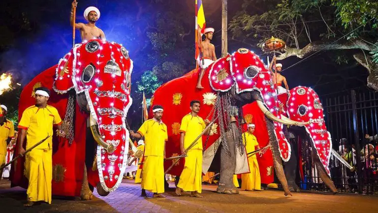 Elephants at the Perahera Festival