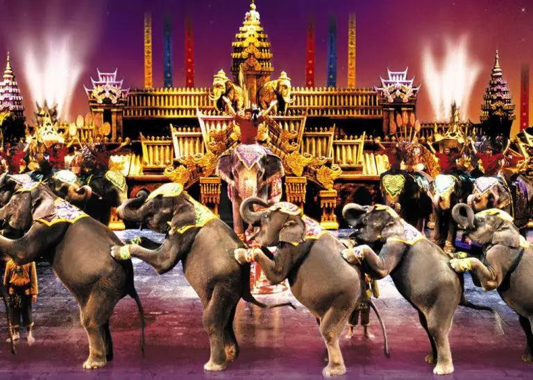 Performance of elephants