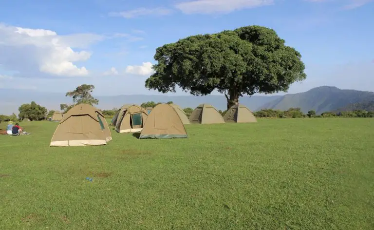 Camping Simba Campsite