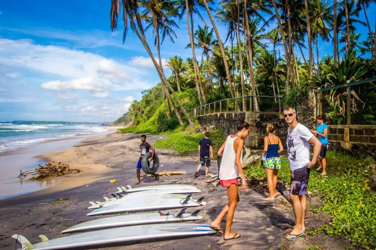 High season for surfing in Sri Lanka