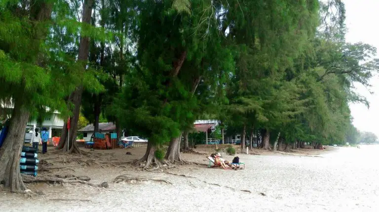 Saun Son is also called a pine beach