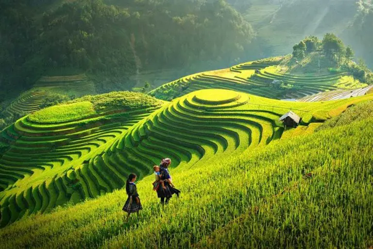 Photo: Terraced Rice Fields
