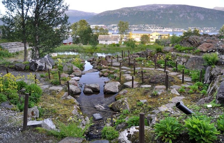 Tromso Botanical Garden