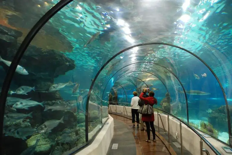 Photo: Visitors at the Winperl Aquarium