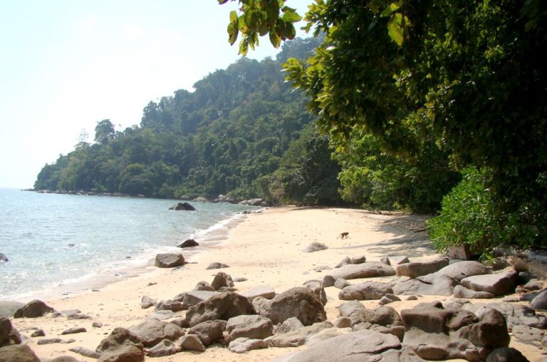Monkey Beach on Tioman