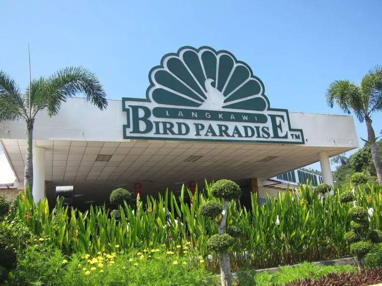Wildlife Park and Bird Paradise
