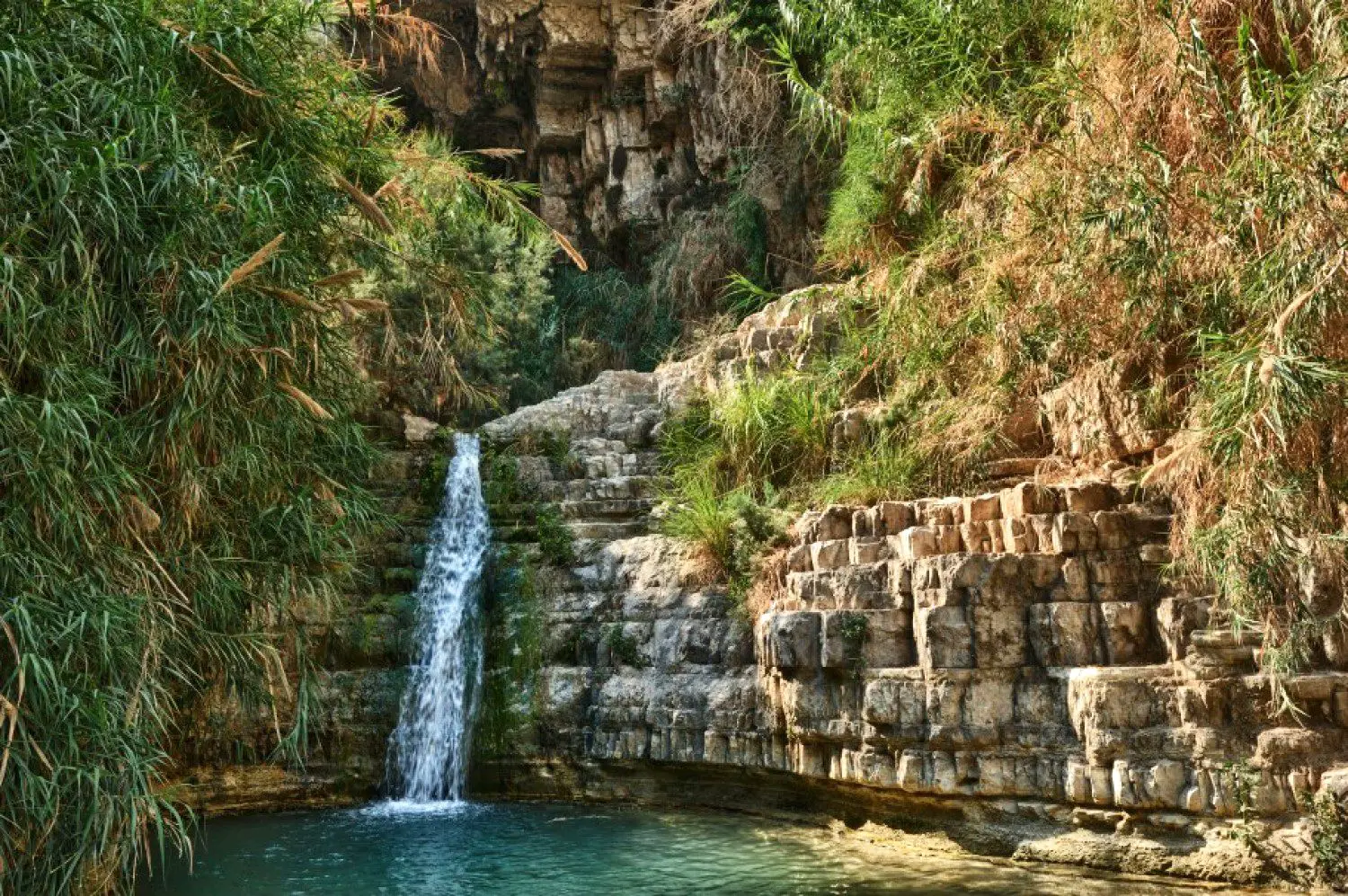 Tourist's guide to Ein Gedi Nature Reserve in Israel - Oasis in the desert
