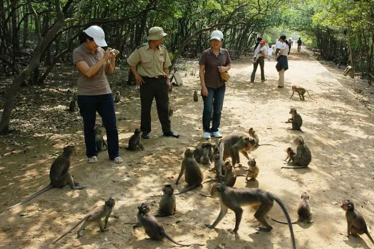 Monkey Island near Nha Trang