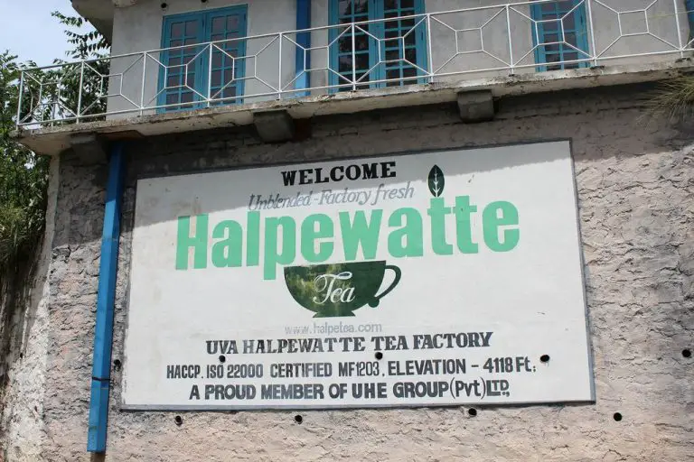 Halpewatte Tea Factory