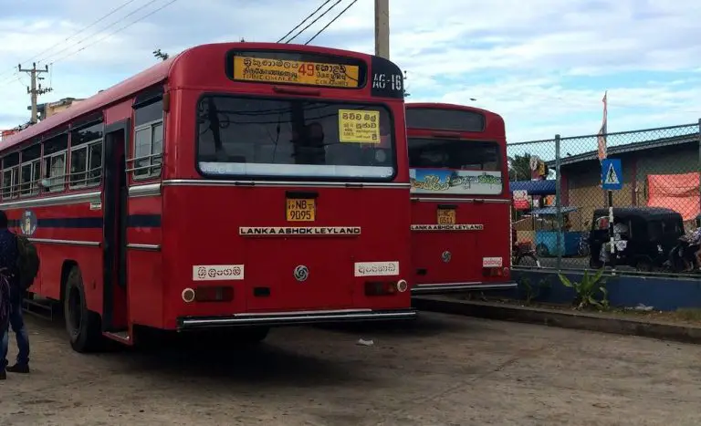 Bus number 49 to Trikomali