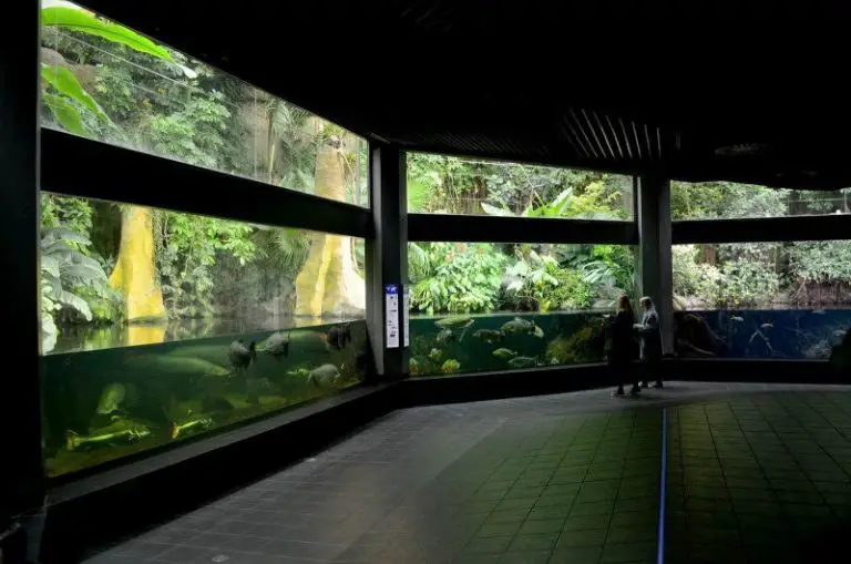 Aquarium in the zoo