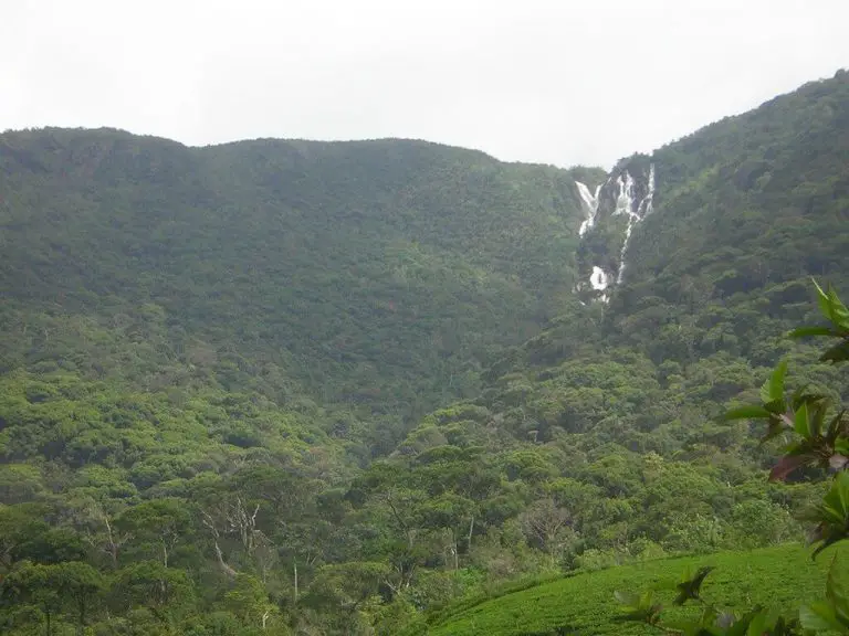 Photo of Sinharaja Nature Reserve