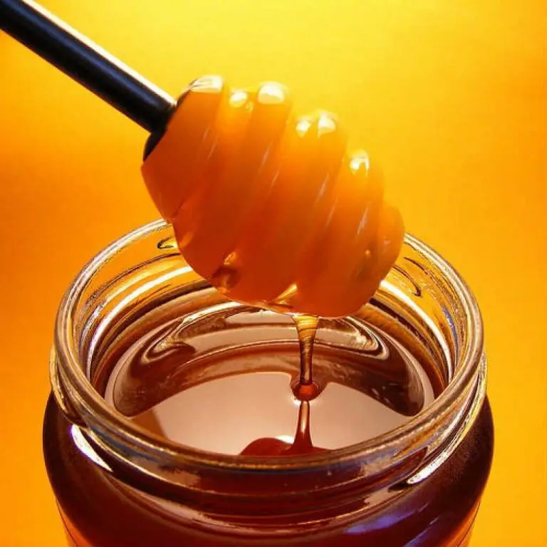 Honey in Greece