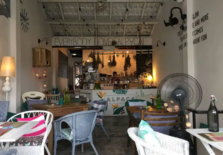 Interior Alpaca Homestyle Cafe