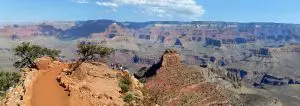 Grand-Canyon-National-Park-Ranger-Guided-Hike-To-Cedar-Ridge